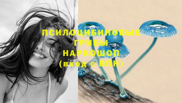 метамфетамин Нязепетровск