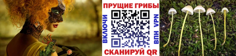 Купить  Юрюзань  Галлюциногенные грибы мухоморы 