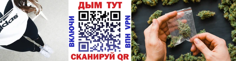 Купить где  Юрюзань  Каннабис семена 